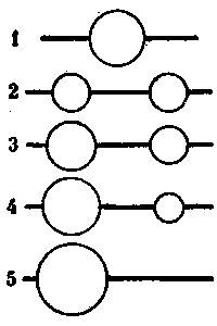 Муравей, семья, колония - i1a89a7233e
