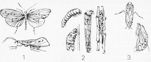 Ловись, рыбка... - i_042.jpg