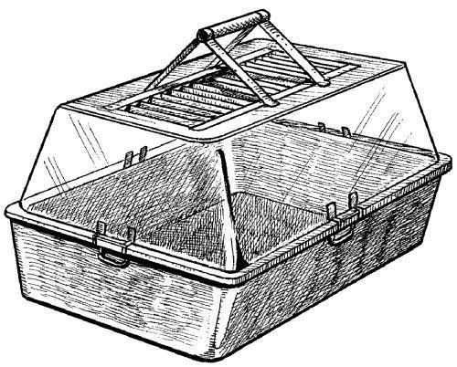 Хомячки - _025.jpg