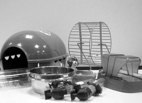 Хомячки - _036.jpg