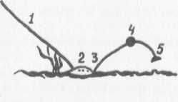 Вам, рыболовы. Выпуск 1 - i_010.jpg