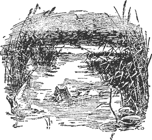 Охота с лайкой - i_006.png