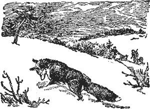 Охота с лайкой - i_008.png