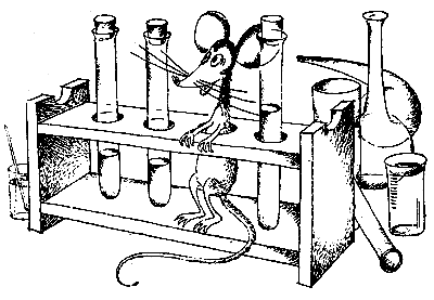 Беседы о новой иммунологии - img_19.png