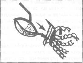 Где, когда и как ловить рыбу - i_028.jpg