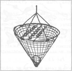 Где, когда и как ловить рыбу - i_029.jpg