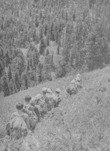 По Восточному Алтаю - img_12.jpeg