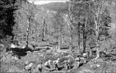 По Восточному Алтаю - img_9.jpeg