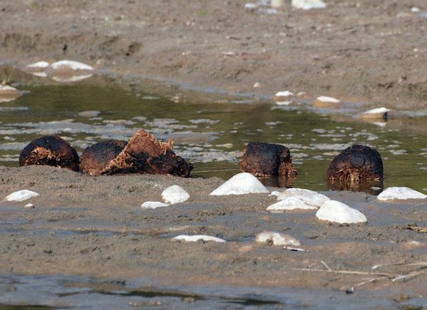 Цифровой журнал «Компьютерра» № 4 - i_033.jpg