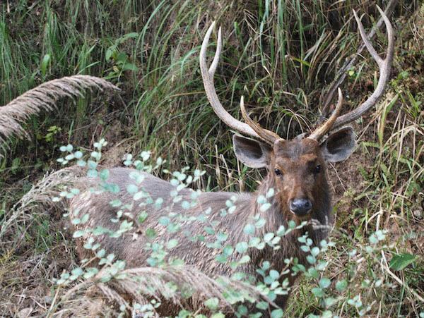 Цифровой журнал «Компьютерра» № 4 - i_040.jpg