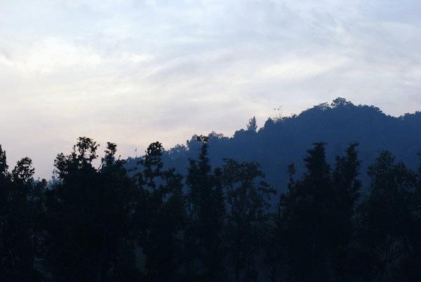 Цифровой журнал «Компьютерра» № 4 - i_042.jpg