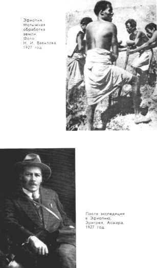 Николай Вавилов - i_009.jpg