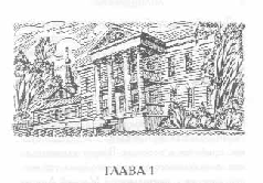 Том 48. Тринадцатая - pic_3.png