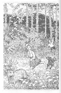 Том 48. Тринадцатая - pic_4.png