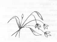 Том 38. Огонек - pic_18.png