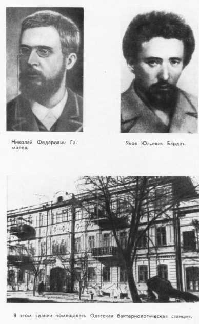 Мечников - i_017.jpg