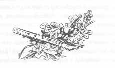 Том 34. Вечерние рассказы - pic_8.png