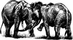 Там где бродили львы (с иллюстрациями) - pic8.jpg