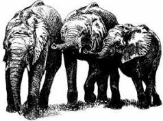 Там где бродили львы (с иллюстрациями) - pic130.jpg