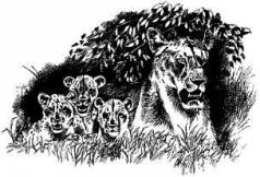 Там где бродили львы (с иллюстрациями) - pic135.jpg