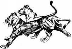 Там где бродили львы (с иллюстрациями) - pic143.jpg