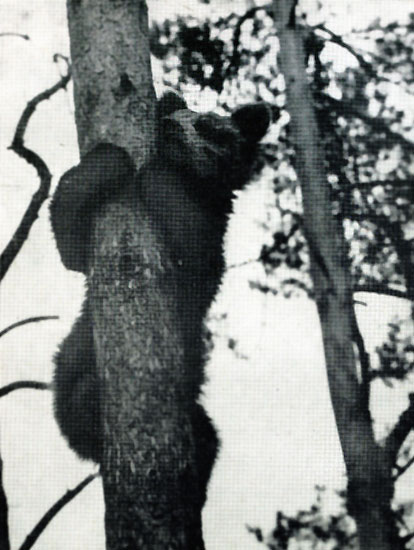 Байкальской тропой - i_008.jpg