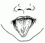 Артикуляционная гимнастика для развития речи дошкольников - i_002.png