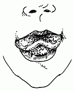 Артикуляционная гимнастика для развития речи дошкольников - i_008.png