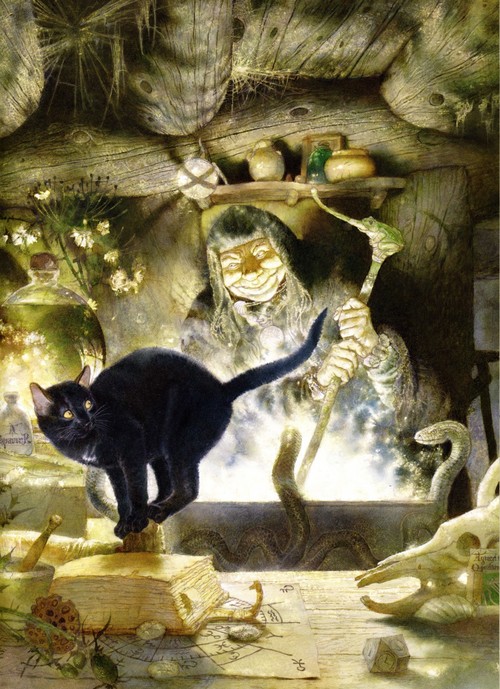 Девять жизней одного кота - i_004.jpg