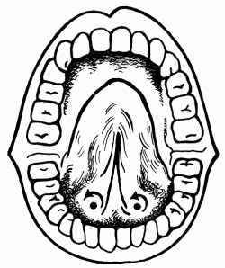 Логопедический массаж при дизартрии - i_148.png