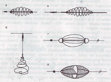 Карп - i_005.jpg
