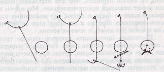 Карп - i_012.jpg