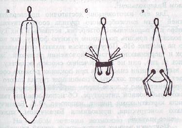 Карп - i_076.jpg