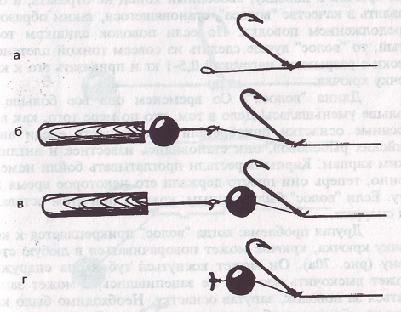 Карп - i_084.jpg