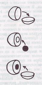 Карп - i_088.jpg