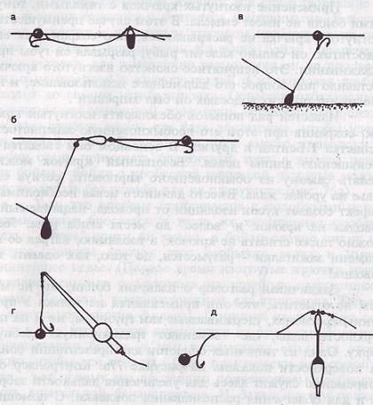Карп - i_092.jpg