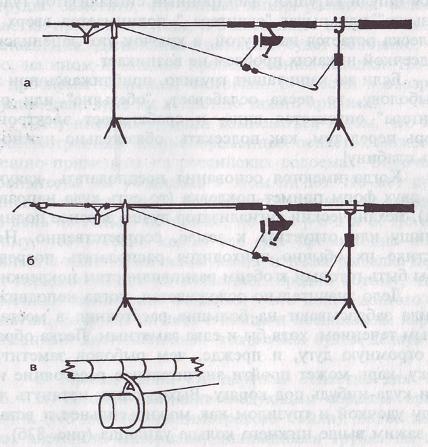 Карп - i_097.jpg