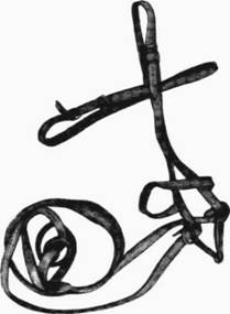 Конская упряжь — основные элементы, требования и особенности - _03.jpg