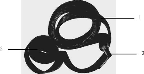 Конская упряжь — основные элементы, требования и особенности - _11.jpg