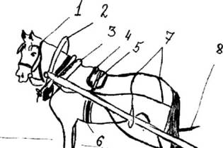 Конская упряжь — основные элементы, требования и особенности - _14.jpg