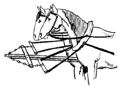 Конская упряжь — основные элементы, требования и особенности - _17.jpg