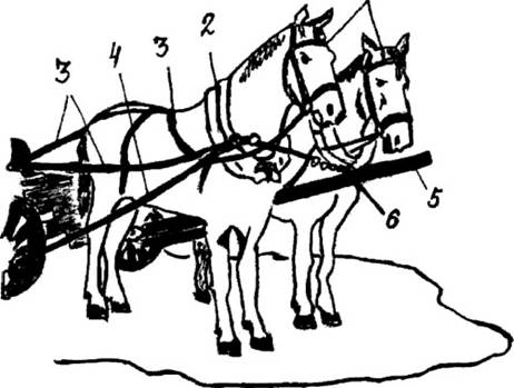 Конская упряжь — основные элементы, требования и особенности - _16.jpg