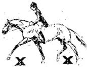 Лошадь в выездке (ЛП) - _02.jpg