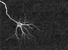 2012. Время великих перемен - _11.jpg