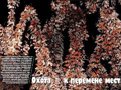 Журнал «Вокруг Света» №8 за 2004 год - any2fbimgloader1.jpeg