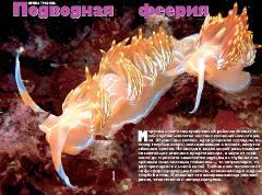 Журнал «Вокруг Света» №6 за 2004 год - any2fbimgloader0.jpeg