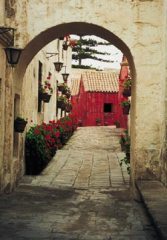 Журнал «Вокруг Света» №5 за 2001 год - _127.jpg