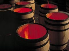 Журнал «Вокруг Света» №5 за 2001 год - _142.jpg