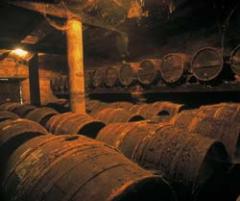 Журнал «Вокруг Света» №5 за 2001 год - _145.jpg