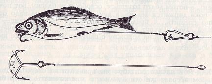 Вода. Рыба. Рыболовы. - i_007.jpg